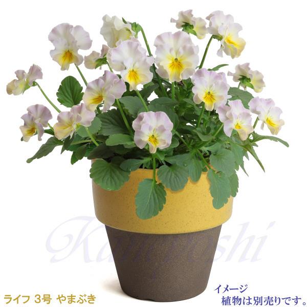 植木鉢　陶器　おしゃれ　サイズ　９．３ｃｍ　和ライフ　モカやまぶき　３号 |  | 08