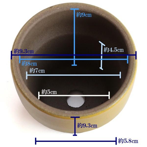 植木鉢　陶器　おしゃれ　サイズ　９．３ｃｍ　和ライフ　モカやまぶき　３号 |  | 03