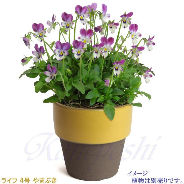 植木鉢　陶器　おしゃれ　サイズ　１２．５ｃｍ　和ライフ　モカやまぶき　４号 |  | 07