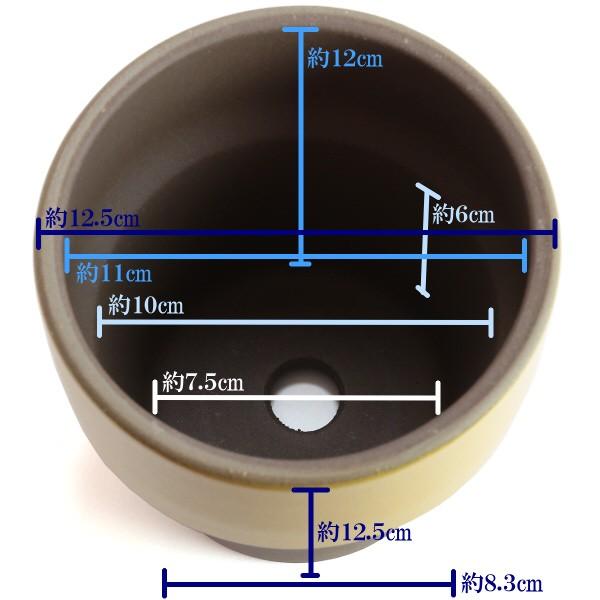 植木鉢　陶器　おしゃれ　サイズ　１２．５ｃｍ　和ライフ　モカやまぶき　４号 |  | 03