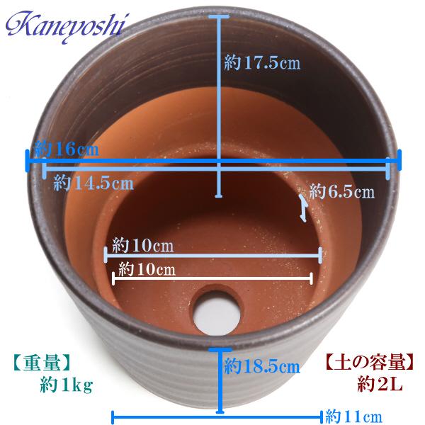 植木鉢 おしゃれ 安い 陶器 サイズ 16cm フラワーロード 5号 ブラウン 室内 屋外 茶 色 |  | 03