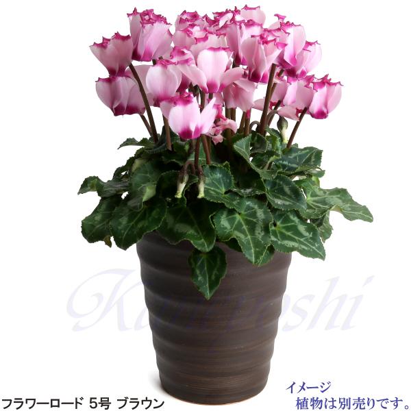 植木鉢 おしゃれ 安い 陶器 サイズ 16cm フラワーロード 5号 ブラウン 室内 屋外 茶 色 |  | 07