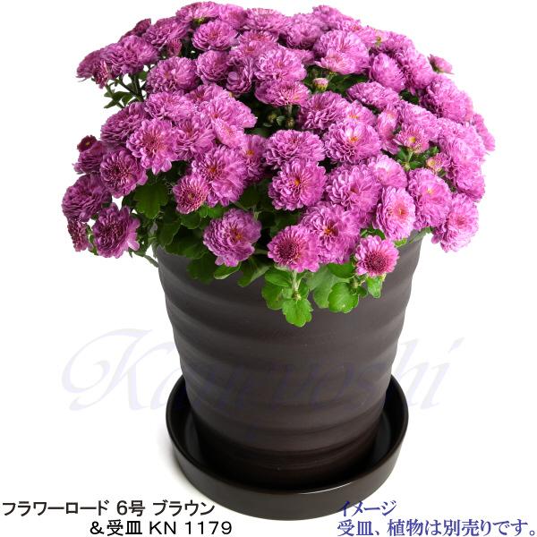 植木鉢 おしゃれ 安い 陶器 サイズ 19cm フラワーロード 6号 ブラウン 室内 屋外 茶 色 |  | 10