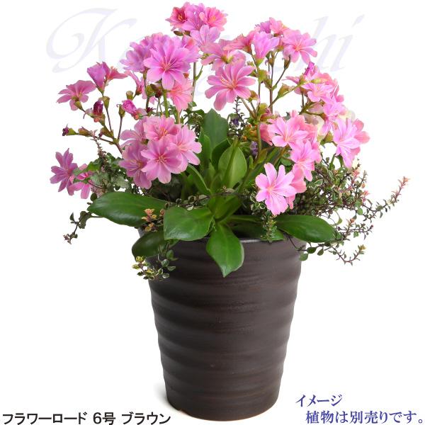 植木鉢 おしゃれ 安い 陶器 サイズ 19cm フラワーロード 6号 ブラウン 室内 屋外 茶 色 |  | 08