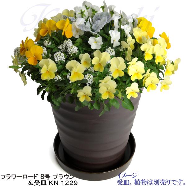 植木鉢 おしゃれ 安い 陶器 サイズ 24.5cm フラワーロード 8号 ブラウン 室内 屋外 茶 色 |  | 10