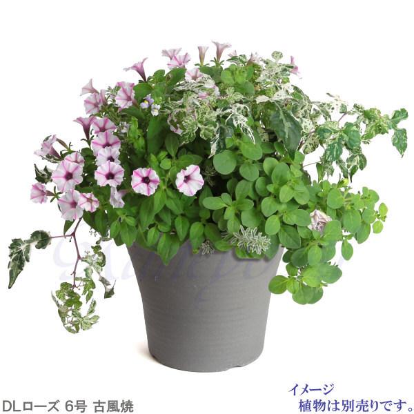 植木鉢 おしゃれ 安い 陶器 サイズ 20cm DLローズ 6号 古風焼 室内 屋外 グレー 色 |  | 07