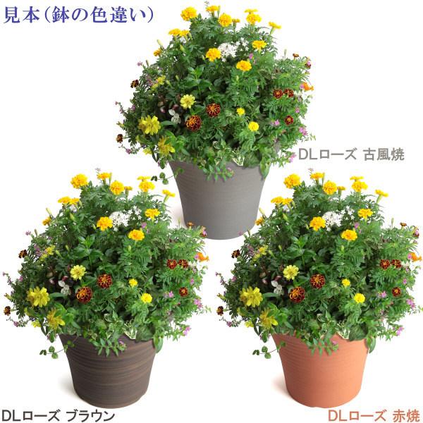 植木鉢 おしゃれ 安い 陶器 サイズ 20cm DLローズ 6号 古風焼 室内 屋外 グレー 色 |  | 18