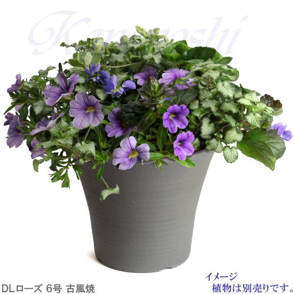 植木鉢 おしゃれ 安い 陶器 サイズ 20cm DLローズ 6号 古風焼 室内 屋外 グレー 色 |  | 09
