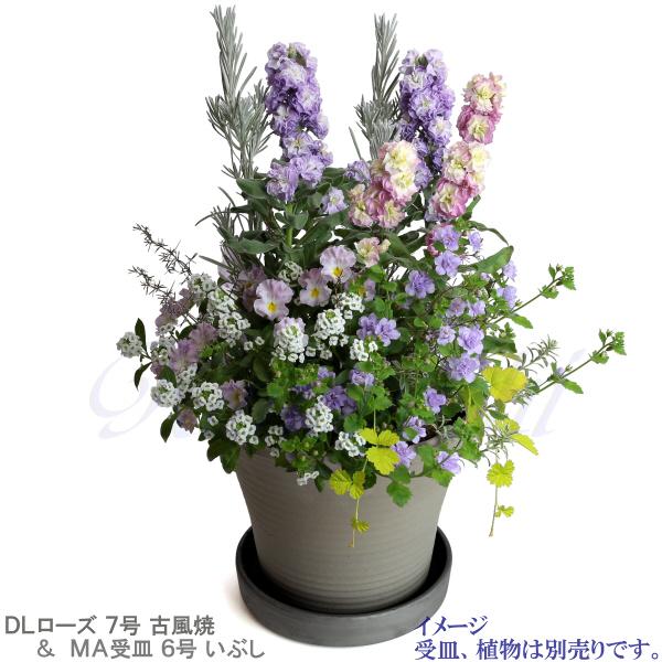 植木鉢 おしゃれ 安い 陶器 サイズ 23.5cm DLローズ 7号 古風焼 室内 屋外 グレー 色 |  | 10