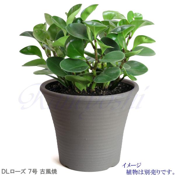 植木鉢 おしゃれ 安い 陶器 サイズ 23.5cm DLローズ 7号 古風焼 室内 屋外 グレー 色 |  | 09