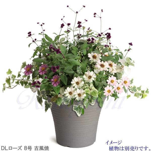 植木鉢 おしゃれ 安い 陶器 サイズ 26.5cm DLローズ 8号 古風焼 室内 屋外 グレー 色 |  | 07
