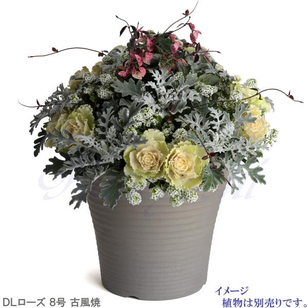 植木鉢 おしゃれ 安い 陶器 サイズ 26.5cm DLローズ 8号 古風焼 室内 屋外 グレー 色 |  | 08
