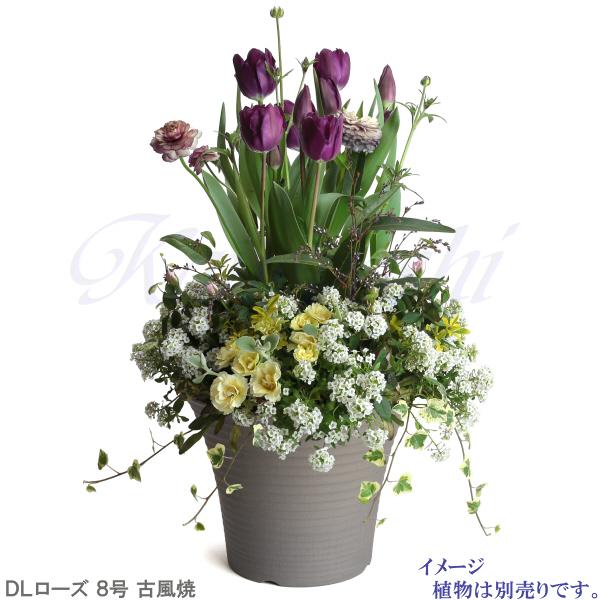 植木鉢 おしゃれ 安い 陶器 サイズ 26.5cm DLローズ 8号 古風焼 室内 屋外 グレー 色 |  | 09