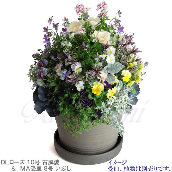 植木鉢 おしゃれ 安い 陶器 サイズ 31.5cm DLローズ 10号 古風焼 室内 屋外 グレー 色 |  | 10