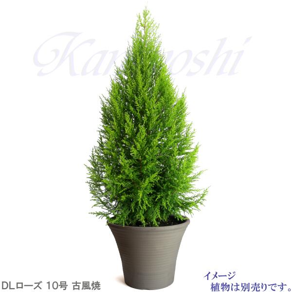 植木鉢 おしゃれ 安い 陶器 サイズ 31.5cm DLローズ 10号 古風焼 室内 屋外 グレー 色 |  | 09