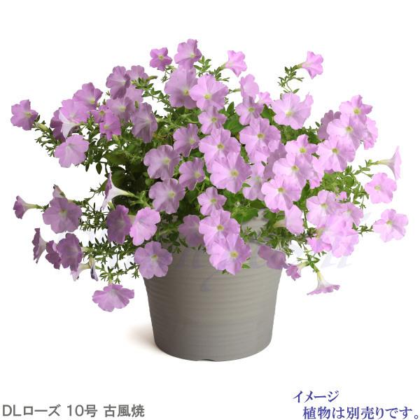 植木鉢 おしゃれ 安い 陶器 サイズ 31.5cm DLローズ 10号 古風焼 室内 屋外 グレー 色 |  | 07