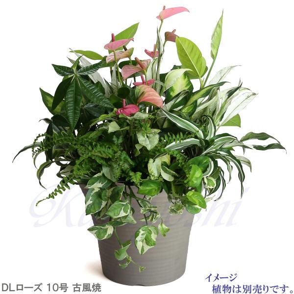 植木鉢 おしゃれ 安い 陶器 サイズ 31.5cm DLローズ 10号 古風焼 室内