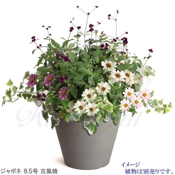 植木鉢 おしゃれ 安い 陶器 サイズ 29cm ジャポネ 8.5号 古風焼 室内 屋外 グレー 色 |  | 07