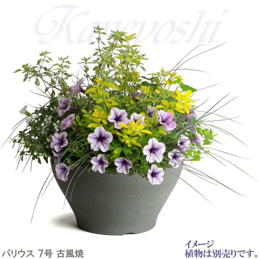 植木鉢 おしゃれ 安い 陶器 サイズ 23cm バリウス 7号 古風焼 室内 屋外 グレー 色 |  | 10