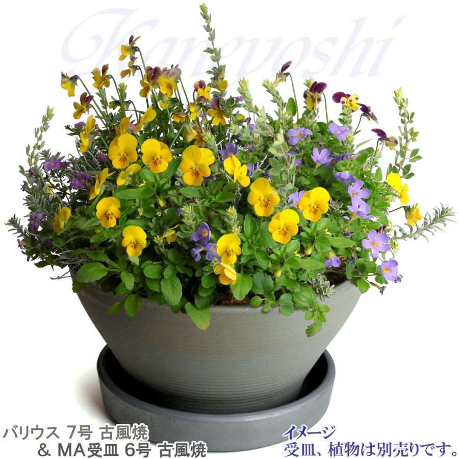 植木鉢 おしゃれ 安い 陶器 サイズ 23cm バリウス 7号 古風焼 室内 屋外 グレー 色 |  | 11