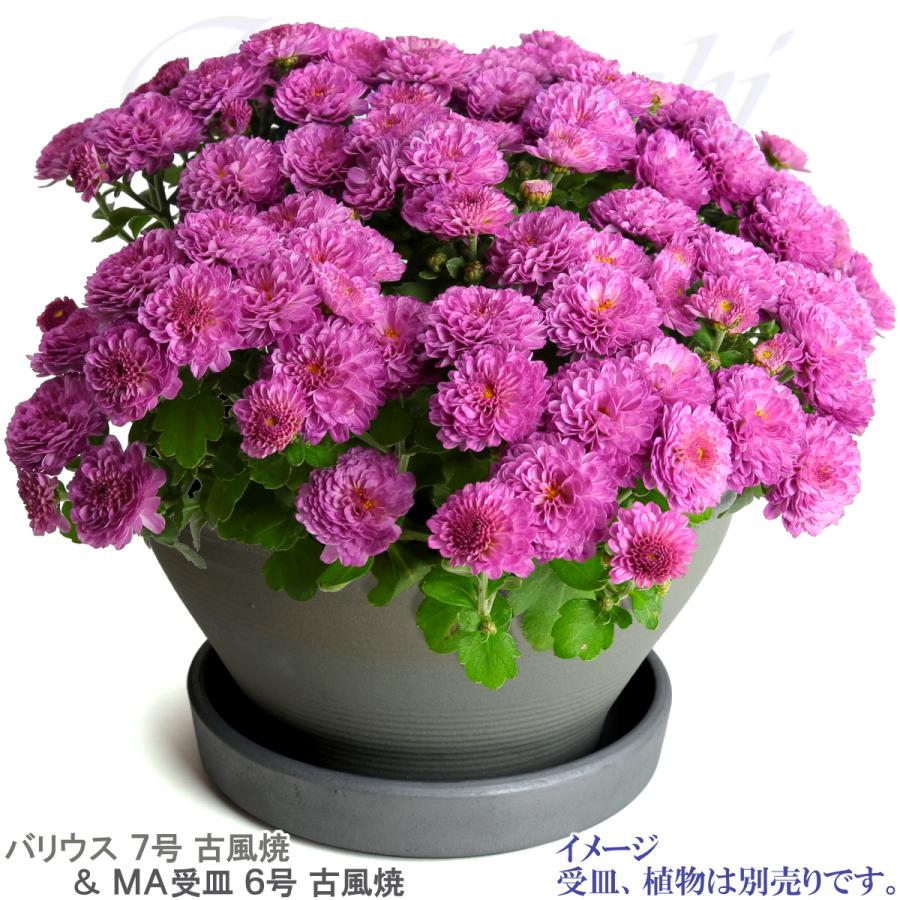 植木鉢 おしゃれ 安い 陶器 サイズ 23cm バリウス 7号 古風焼 室内 屋外 グレー 色 |  | 12