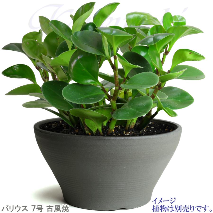 植木鉢 おしゃれ 安い 陶器 サイズ 23cm バリウス 7号 古風焼 室内 屋外 グレー 色 |  | 07