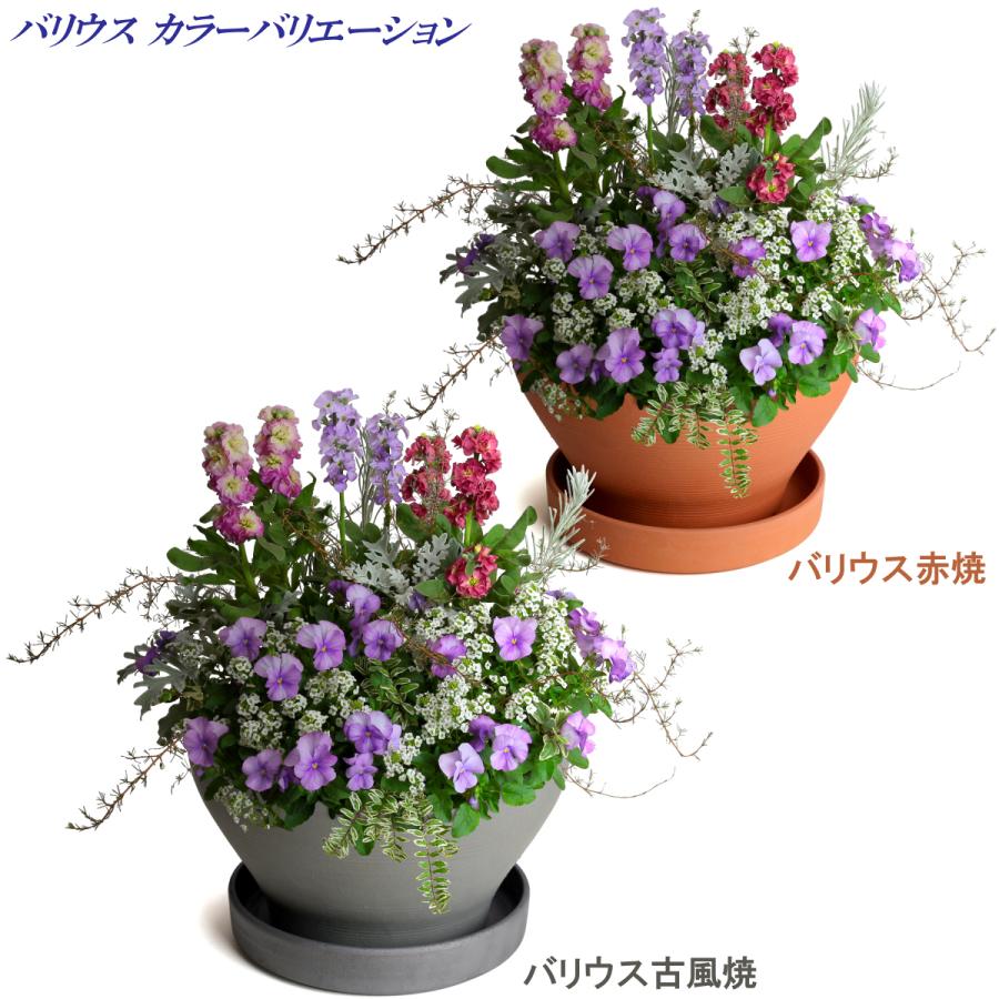 植木鉢 おしゃれ 安い 陶器 サイズ 29.5cm バリウス 9号 古風焼 室内 屋外 グレー 色 |  | 19