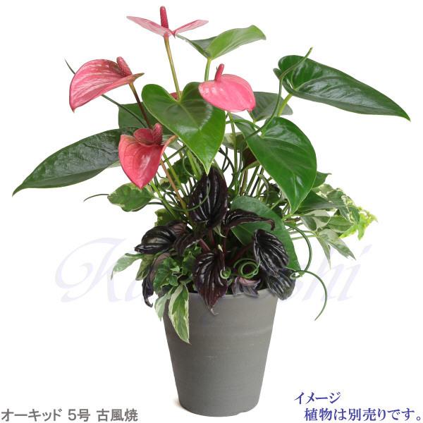 丈夫で長持ち 植木鉢 深鉢 オーキッド 古風焼 サイズ 5号 16cm 三河焼 陶器 おしゃれ 安い プランター ガーデニング 園芸用品 シンプル |  | 05