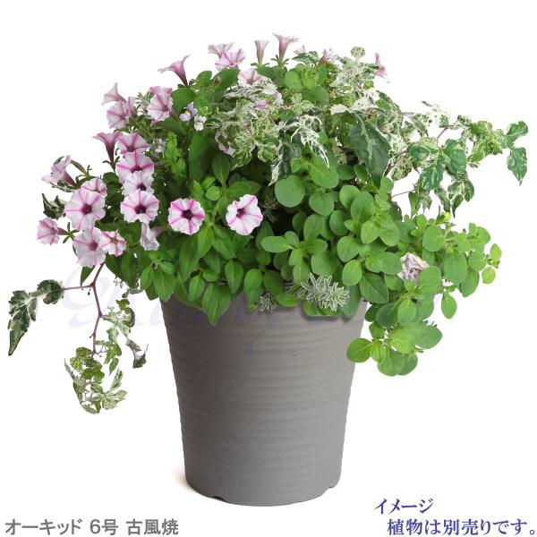 丈夫で長持ち 植木鉢 深鉢 オーキッド 古風焼 サイズ 6号 19cm 三河焼 陶器 おしゃれ 安い プランター ガーデニング 園芸用品 シンプル |  | 07
