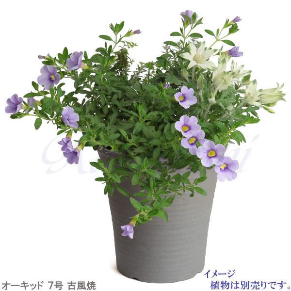 丈夫で長持ち 植木鉢 深鉢 オーキッド 古風焼 サイズ 7号 22cm 三河焼 陶器 おしゃれ 安い プランター ガーデニング 園芸用品 シンプル |  | 07
