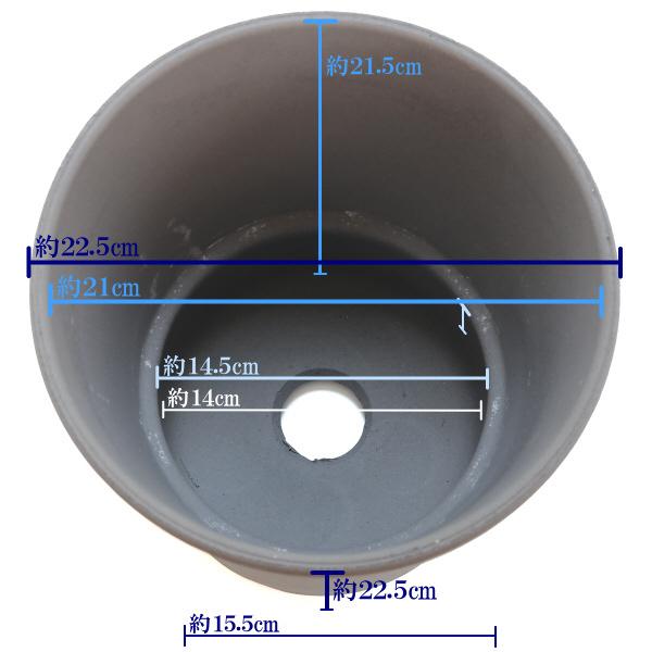 丈夫で長持ち 植木鉢 深鉢 オーキッド 古風焼 サイズ 7号 22cm 三河焼 陶器 おしゃれ 安い プランター ガーデニング 園芸用品 シンプル |  | 03