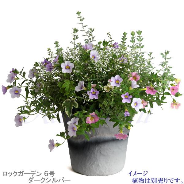 植木鉢 おしゃれ 安い 陶器 サイズ 19cm ロックガーデン 6号 ダークシルバー 室内 屋外 グレー 銀 色 |  | 09