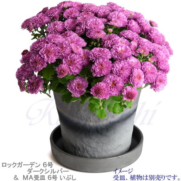 植木鉢 おしゃれ 安い 陶器 サイズ 19cm ロックガーデン 6号 ダークシルバー 室内 屋外 グレー 銀 色 |  | 12