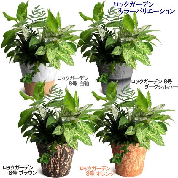 植木鉢 おしゃれ 安い 陶器 サイズ 19cm ロックガーデン 6号 ダークシルバー 室内 屋外 グレー 銀 色 |  | 17
