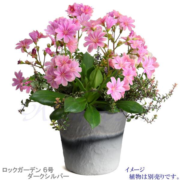 植木鉢 おしゃれ 安い 陶器 サイズ 19cm ロックガーデン 6号 ダークシルバー 室内 屋外 グレー 銀 色 |  | 07