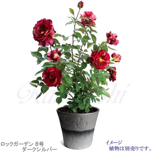 植木鉢 おしゃれ 安い 陶器 サイズ 25.5cm ロックガーデン 8号 ダークシルバー 室内 屋外 グレー 銀 色 |  | 14