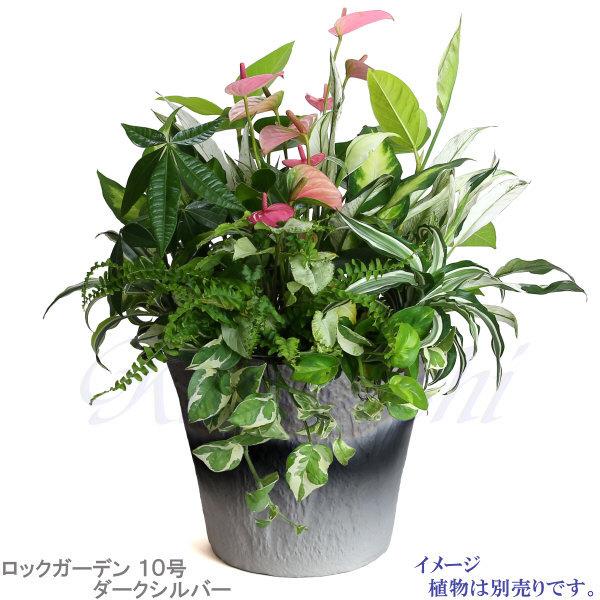 植木鉢 おしゃれ 安い 陶器 サイズ 32cm ロックガーデン 10号 ダークシルバー 室内 屋外 グレー 銀 色 |  | 10