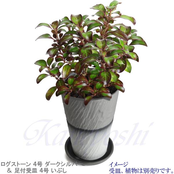 グレーの木のシルエット陶器 PRODUCTS｜CoCo JAPANー新しい日本がココにあるー