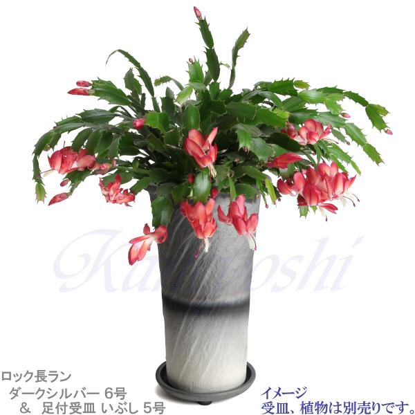 植木鉢 おしゃれ 安い 陶器 サイズ 18.5cm ロック長ラン 6号 ダークシルバー 室内 屋外 グレー 銀 色 |  | 11