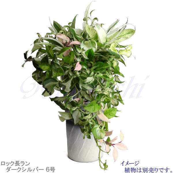 植木鉢 おしゃれ 安い 陶器 サイズ 18.5cm ロック長ラン 6号 ダークシルバー 室内 屋外 グレー 銀 色 |  | 09