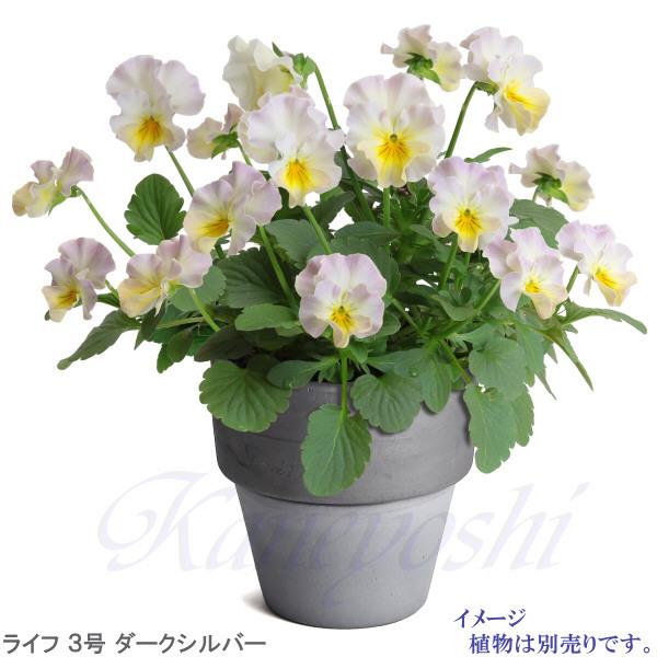 植木鉢 おしゃれ 安い 陶器 サイズ 9.5cm ライフ 3号 ダークシルバー 室内 屋外 グレー 銀 色 |  | 10