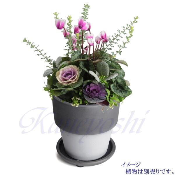 植木鉢 おしゃれ 安い 陶器 サイズ 9.5cm ライフ 3号 ダークシルバー 室内 屋外 グレー 銀 色 |  | 12