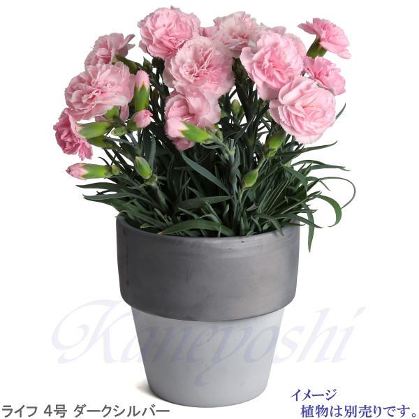 植木鉢 おしゃれ 安い 陶器 サイズ 12cm ライフ 4号 ダークシルバー 室内 屋外 グレー 銀 色 |  | 09