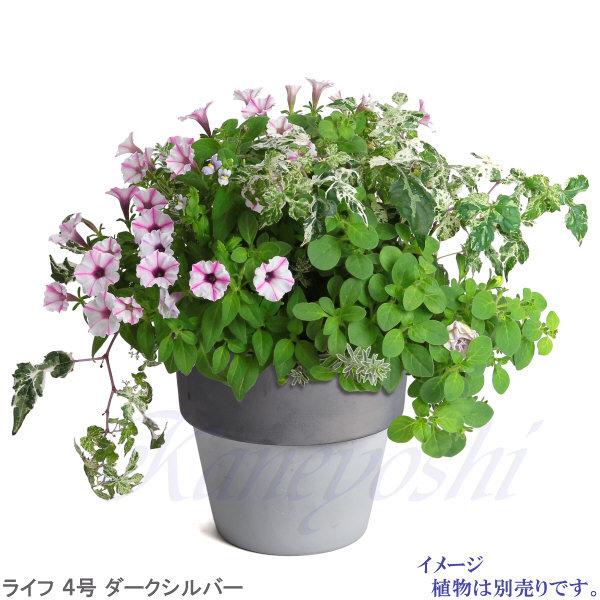 植木鉢 おしゃれ 安い 陶器 サイズ 12cm ライフ 4号 ダークシルバー 室内 屋外 グレー 銀 色 |  | 10