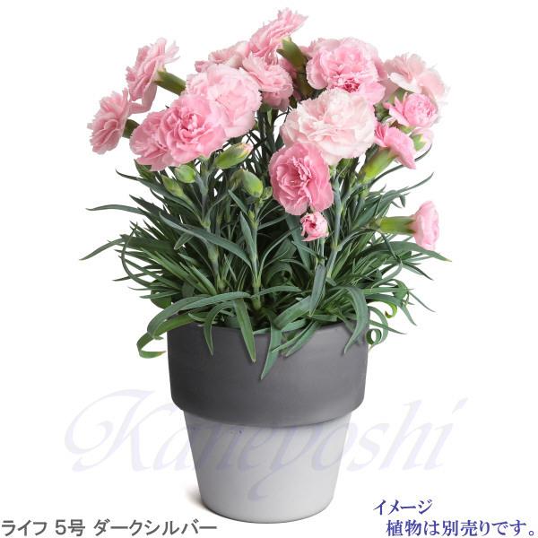 植木鉢 おしゃれ 安い 陶器 サイズ 16cm ライフ 5号 ダークシルバー 室内 屋外 グレー 銀 色 |  | 10