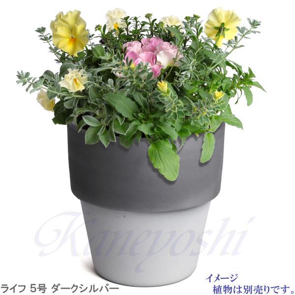 植木鉢 おしゃれ 安い 陶器 サイズ 16cm ライフ 5号 ダークシルバー 室内 屋外 グレー 銀 色 |  | 11