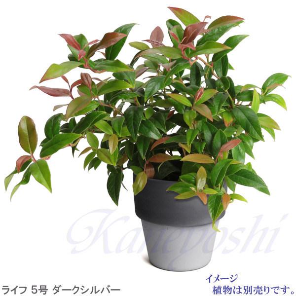 植木鉢 おしゃれ 安い 陶器 サイズ 16cm ライフ 5号 ダークシルバー 室内 屋外 グレー 銀 色 |  | 12