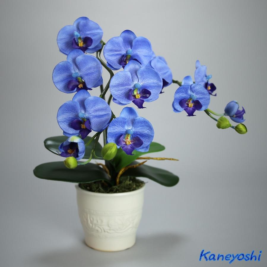光触媒 胡蝶蘭 造花 インテリア 小輪 1本立 ロング ブルー 青色 お祝 ギフト 記念品 誕生日 発表会 新築 開店 花 フェイクグリーン 空気清浄 |  | 01