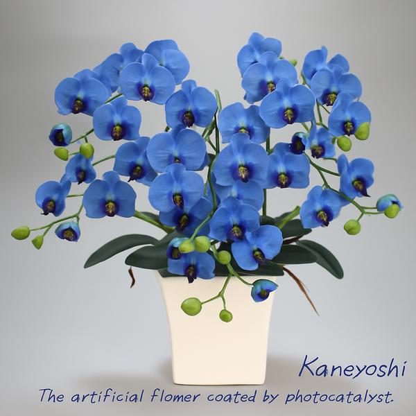 光触媒 花 胡蝶蘭 小輪 3本立 ブルー お祝い 造花 御祝 風水 青 仕事運 勉強運 ギフト 母の日 誕生日 発表会 新築 開店 祝 | 