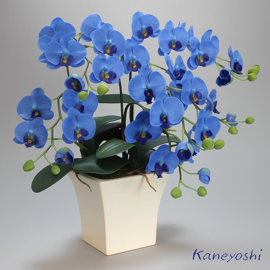 光触媒 花 胡蝶蘭 小輪 3本立 ブルー お祝い 造花 御祝 風水 青 仕事運 勉強運 ギフト 母の日 誕生日 発表会 新築 開店 祝 |  | 01